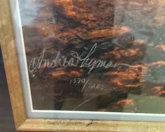 Stephen Lyman “Sunset Fire”. Signed and numbered, Beautifully, professionally matted and framed. 28”x41.5” $800
