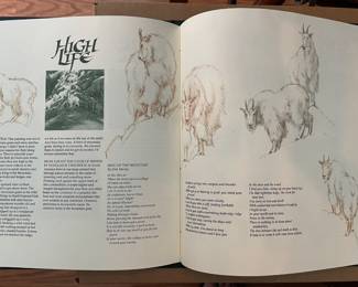Bev Doolittle print book. $100