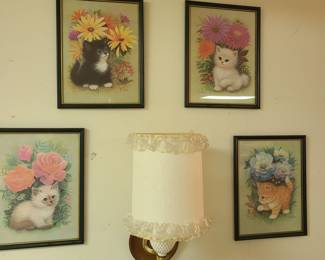 K Chin kitty pictures