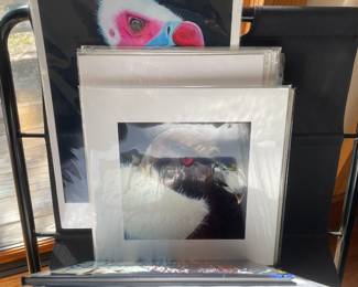 Loose, mattered print, originals, photography 