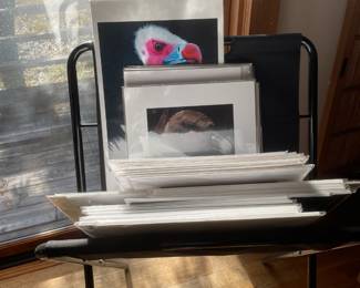 In framed signed original art 