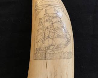 Authenticated whales tooth scrimshaw