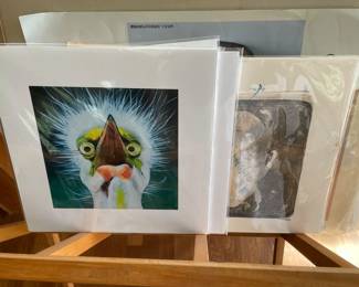 Loose, matted originals