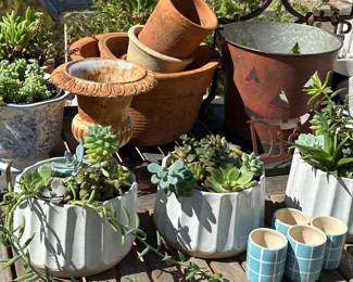 Gorgeous pots and garden decorations. Succulent arrangements ready to go!