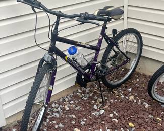 Roadmaster Climber 12Speed Bicycle 12 hero