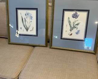 Botanical prints