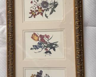 Botanical print