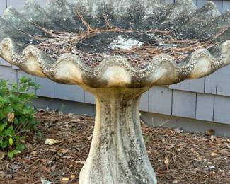 Concrete Bird Bath