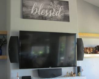 Samsung 55" TV, Model #AA59-00772A