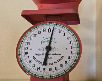 1903 American Family Scale