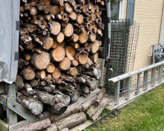 firewood & extension ladder
