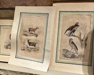antique engravings