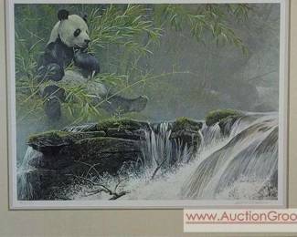 1 Giant Panda by R Bateman