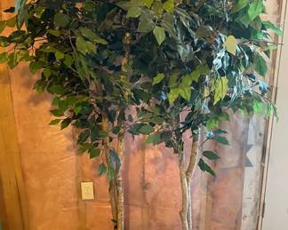 Two 6 Ft. Artificial Trees