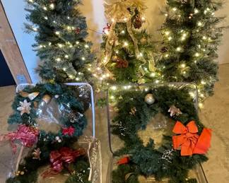Christmas Trees and Wreaths