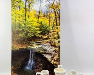 Nebraska Football Drinkware and Forest Art