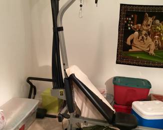 Schwinn Comp Home Gym