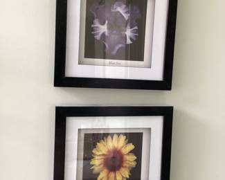Wall Art Butler Dahlia Purple and Yellow Floral Prints