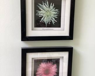 Wall Art Butler Dahlia Pink and Green Floral Prints