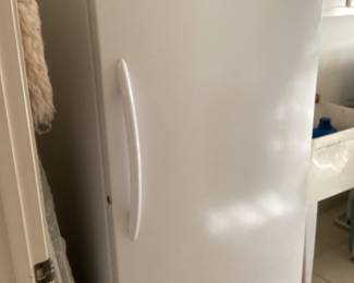 Frigidaire Frost Free Upright Freezer