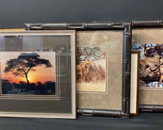 Scenic Pictures and a Canvas Painting