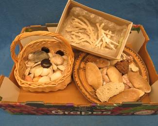 Lot 319. Beachcomber finds from the ocean