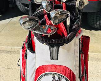 Red and black.  Go Dawgs.