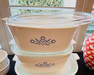 Of course there will be casseroles.  Green bean or squash?