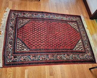 Oriental fringed rug 