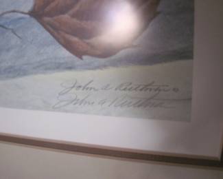 Signed & Numbered Limited Edition John A Ruthven "Green-Winged Teal" Ducks Unlimited Flyway Collection