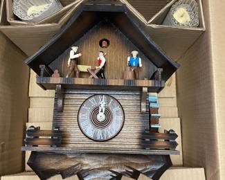 New Cuckoo in box