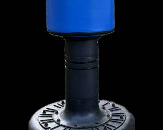 Everlast Free Standing Punching Bag