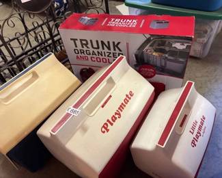 VARIOUS COOLERS, TRUNK ORGANIZER COOLER