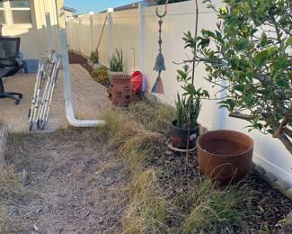Flower pots , garden accessories, plants