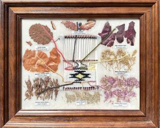 Wood Framed Navajo Dye Chart By Arletta Henderson