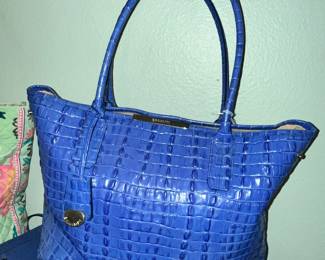 Another BRAHMIN PURSE!