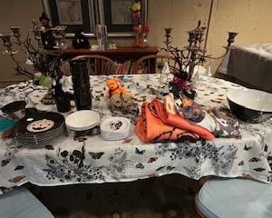 Halloween decorations and women's seasonal clothing dog costumes
