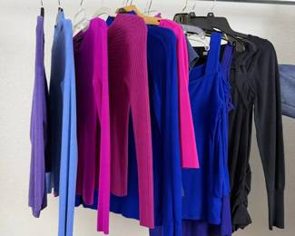 INC, Cache, Express Designer Basics 12Piece Sweater and Knit Top Lot