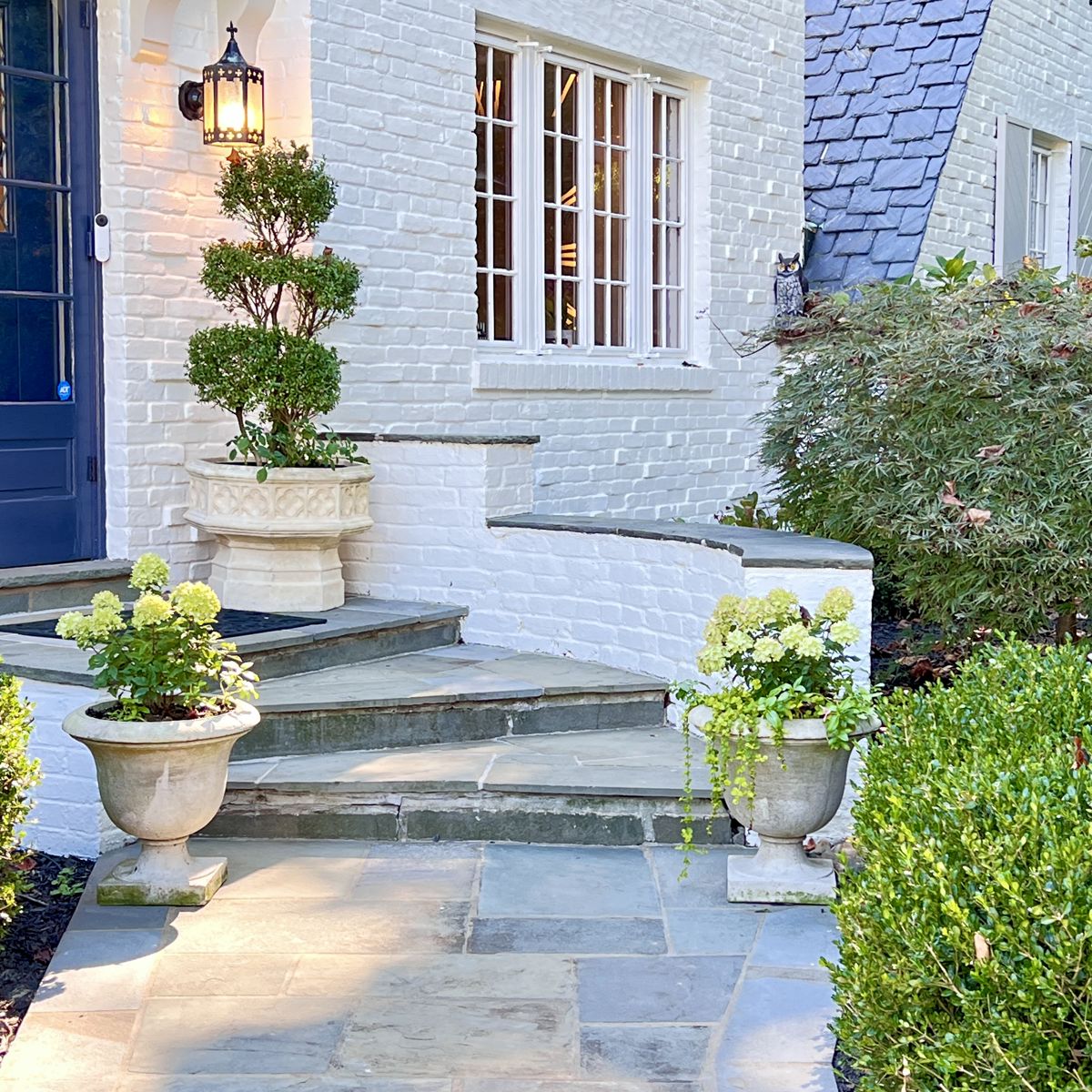 Assorted professionally planted and maintained Campania planters, topiaries, priced individually
