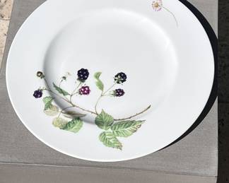 Villeroy and Boch "Wildberries" plates, Discontinued, never used