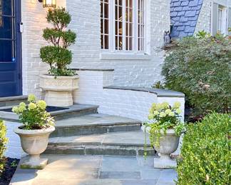 Assorted professionally planted and maintained Campania planters, topiaries, priced individually