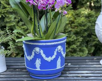 Antique Wedgwood Jasperware CachePot 8" - circa 1908 - orchids not included