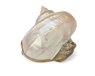 1090
Judith Leiber: A Vintage Pearl Turbo Shell Clutch Minaudière
Circa 1970s/1980s, featuring an iridescent white and green spiral shell, unlined, with likely gold-plated lid and frame
3 in. H x 5 in. W x 5 in. D
Estimate: $600 - $800
