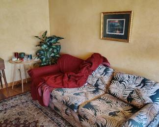 Couch, cover, picture