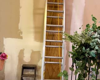 20 foot ladder