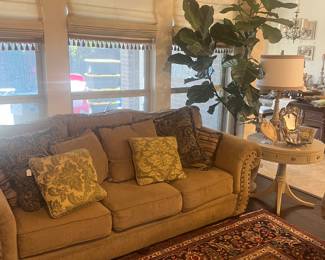 sofa, persian rug, fig tree, antique home decor