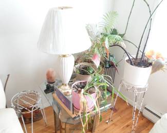 Plants, Plant Stands