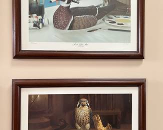 beautiful bird pics by artist