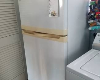 Garage fridge