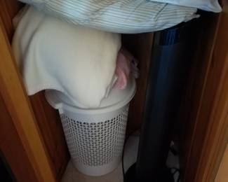 Tower fan; pillows & blankets